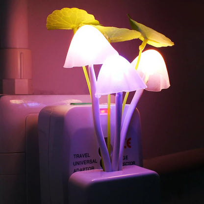 Mashroom night lamp
